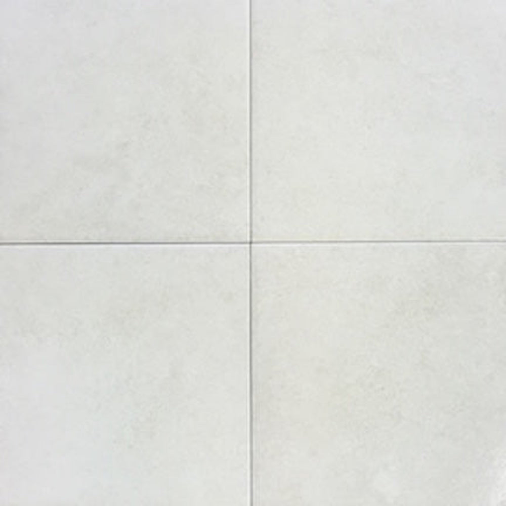 A54712242P6 12x24 Rectangular Tile