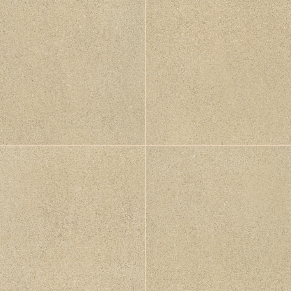 I4871224RW2P6 12x24 Rectangular Tile